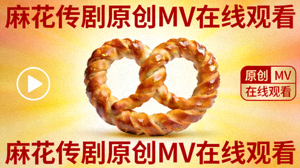 麻花传剧原创MV在线观看封面图片